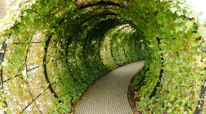 Алник: уникальный сад, каждое растение которого хочет убить вас