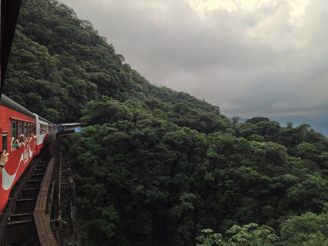 Вид из окна экспресса Серра Верде на бразильские джунги