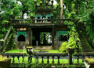 Парк Паронелла: самое волшебное место в тропических джунглях Австралии