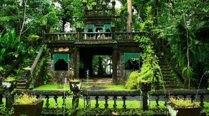 Парк Паронелла: самое волшебное место в тропических джунглях Австралии