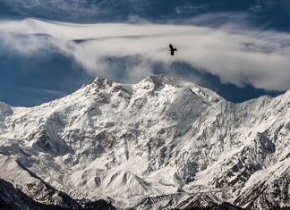 На вершине планеты: 10 самых высоких гор в мире
