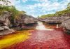 Каньо-Кристалес: удивительная река пяти цветов, от которой захватывает дух