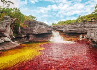 Каньо-Кристалес: удивительная река пяти цветов, от которой захватывает дух