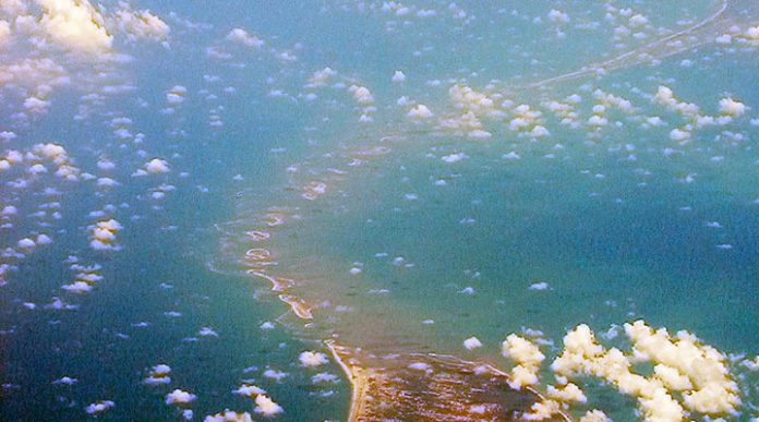 Мост Адама: уникальный мост, построенный… обезьянами!