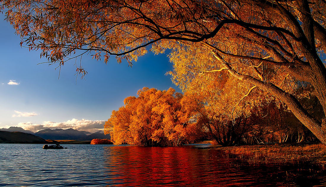 озеро Текапо осенью
