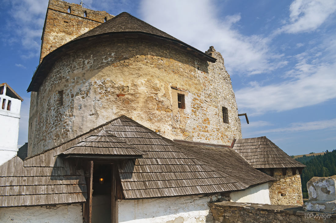 замок Недзица