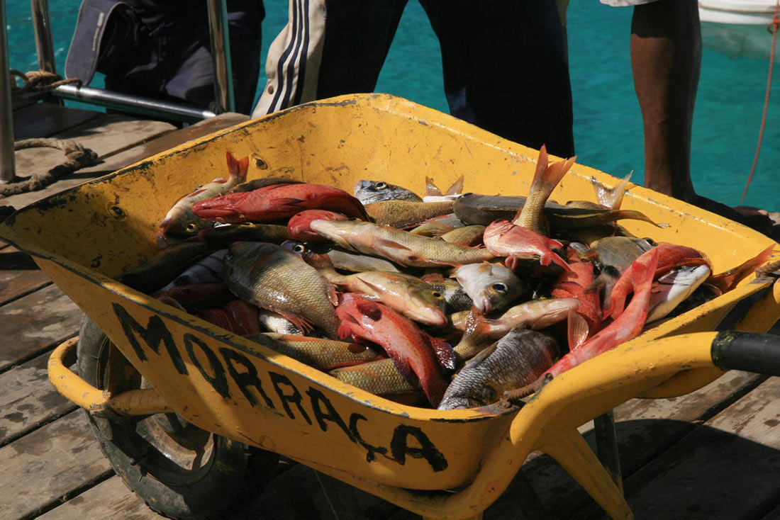 Улов свежей рыбы в городке Санта Мария на острове Сал