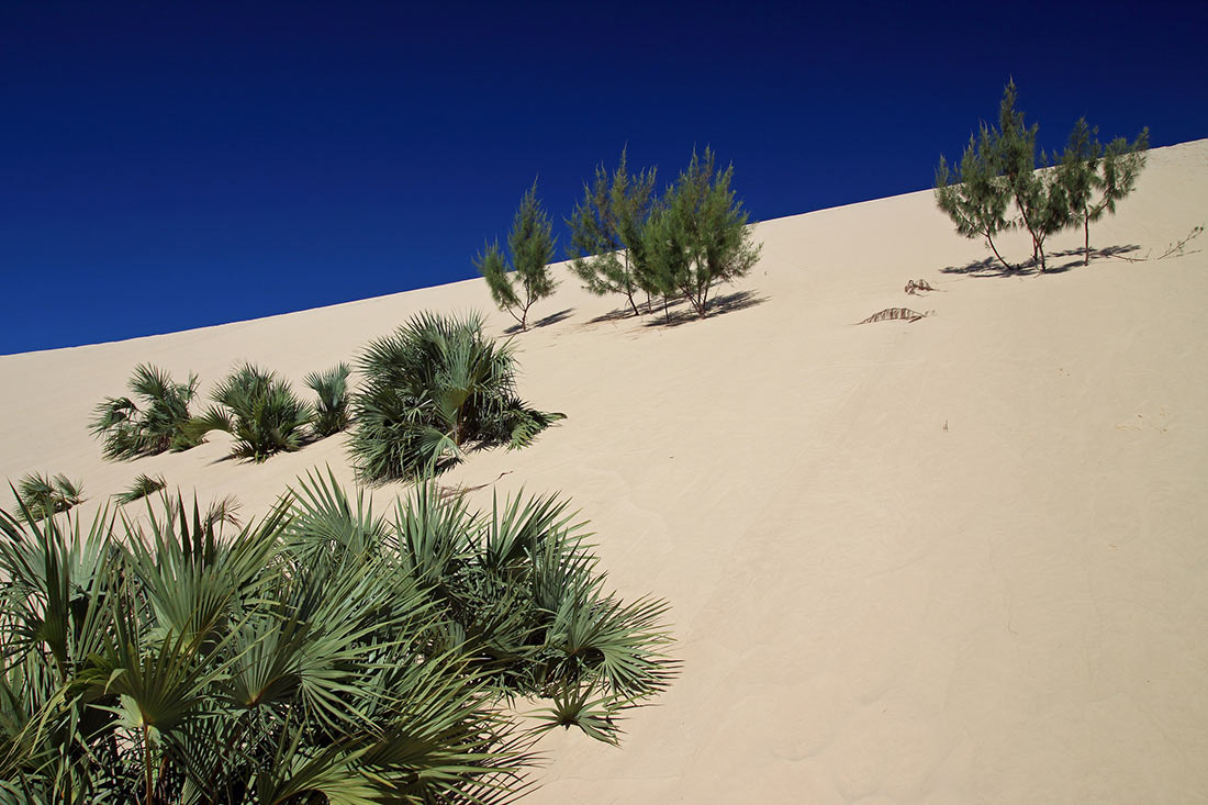 Песчаные дюны Базаруто