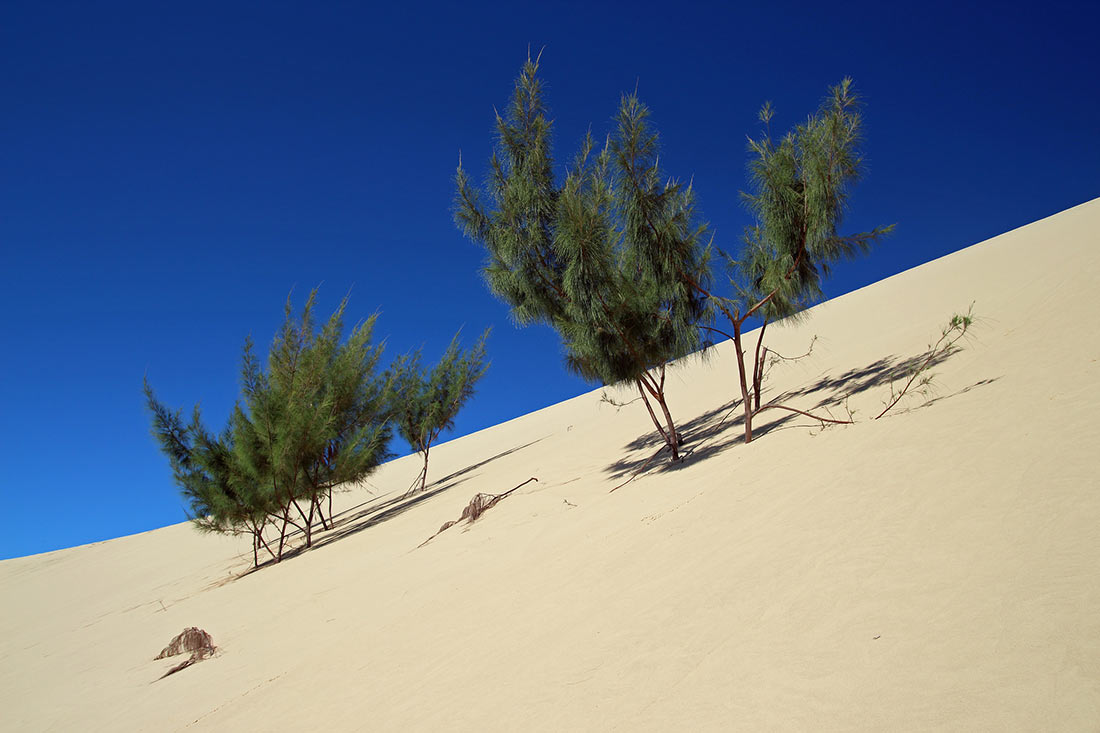 Песчаные дюны Базаруто
