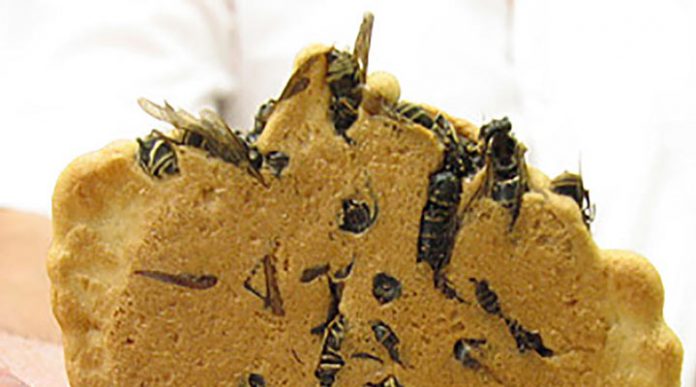 Печенье с осами — одна из самых необычных сладостей в мире