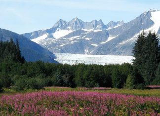 Ледник Менденхолл: хрупкий гигант Аляски Ледник Менденхолл