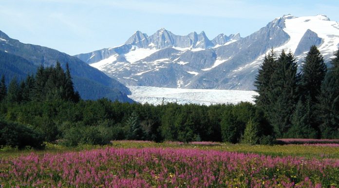 Ледник Менденхолл: хрупкий гигант Аляски Ледник Менденхолл