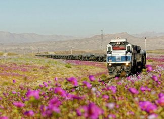 Уникальный природный феномен пустыни Атакама