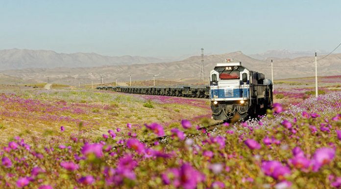 Уникальный природный феномен пустыни Атакама