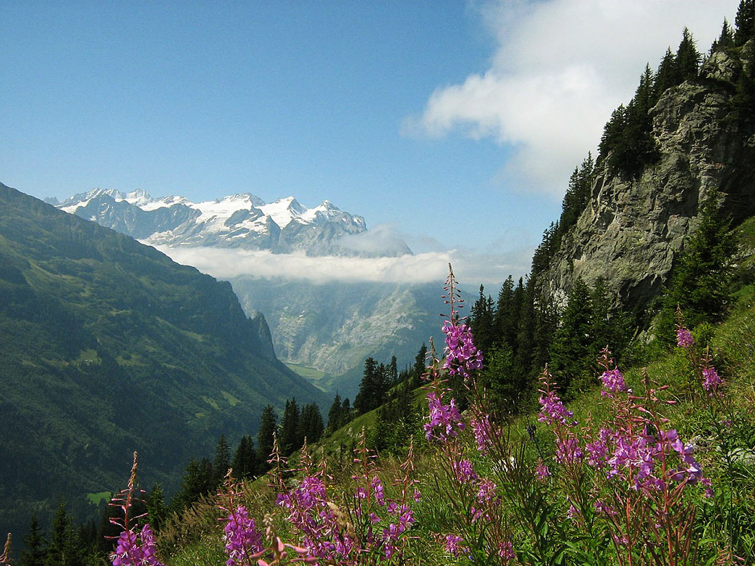Швейцарские горы