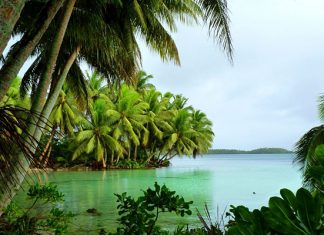 Атолл Пальмира: мистический остров, убивающий людей