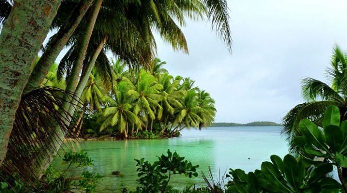 Атолл Пальмира: мистический остров, убивающий людей