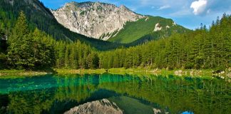 Грюнер-Зе: волшебное горное озеро, воды которого скрывают настоящий парк