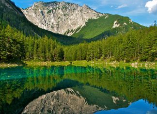 Грюнер-Зе: волшебное горное озеро, воды которого скрывают настоящий парк