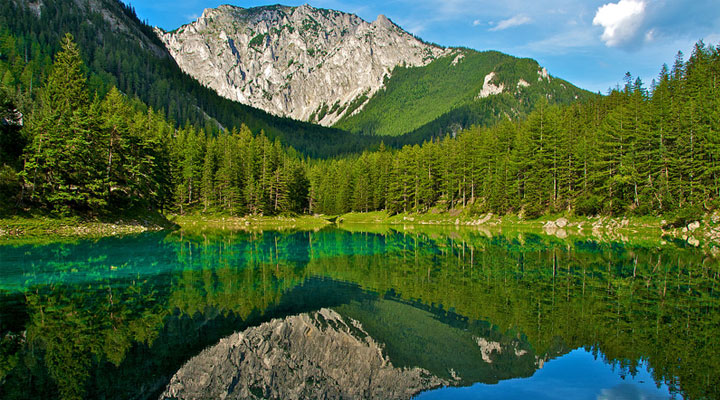 Грюнер-Зе: волшебное горное озеро, воды которого скрывают настоящий парк