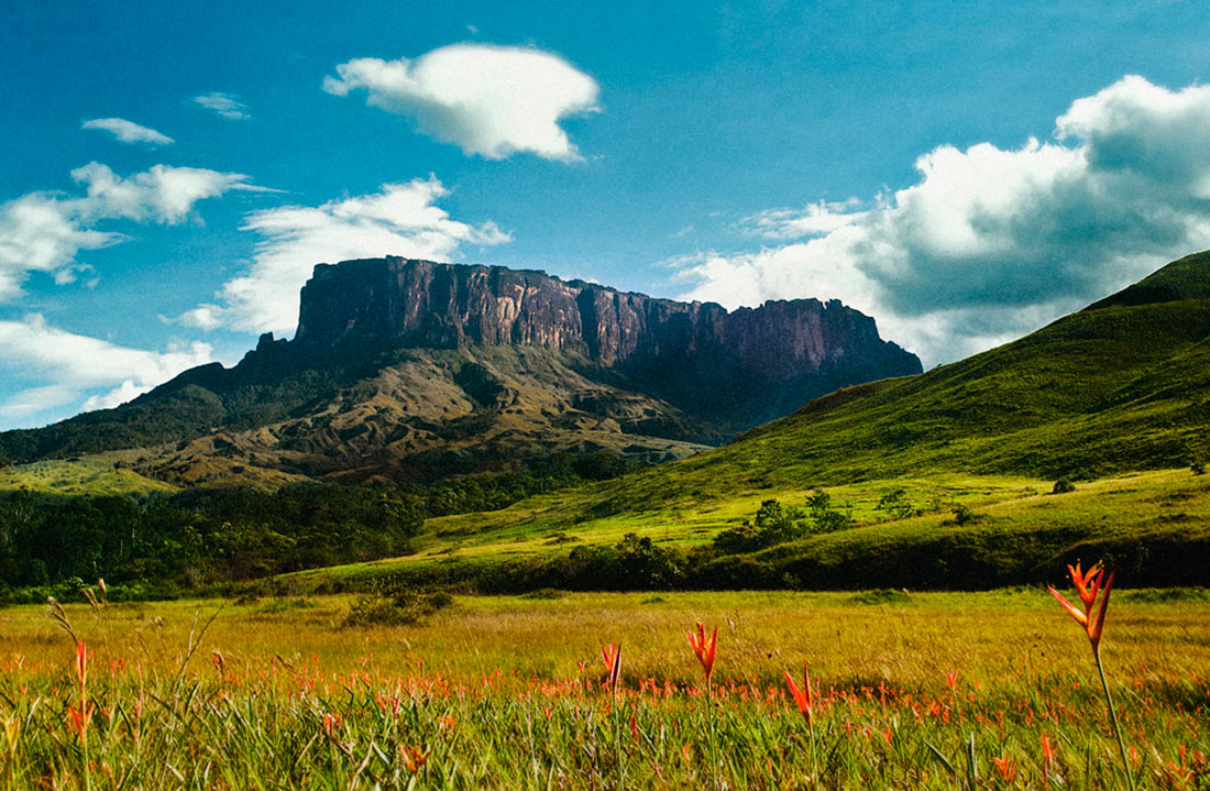 Гора Кукенан, Венесуэла