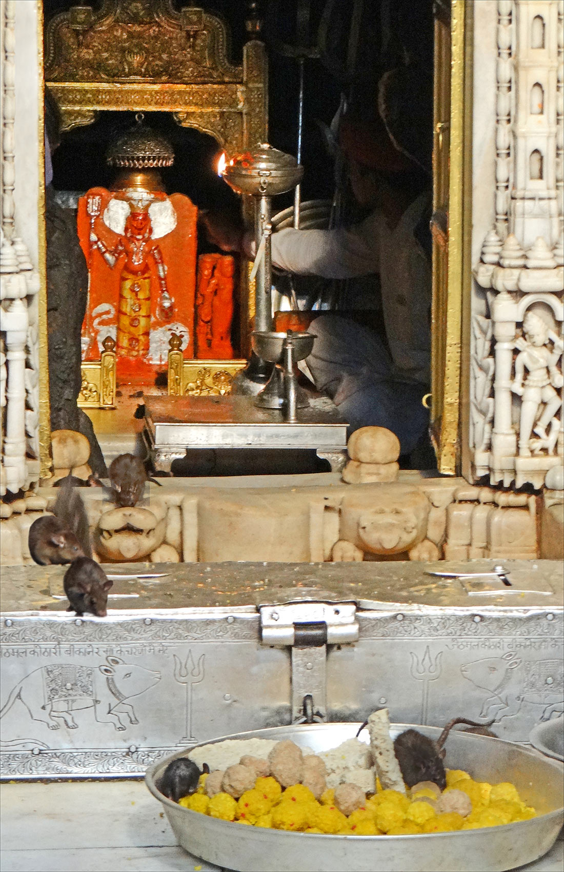 храм Карни Мата