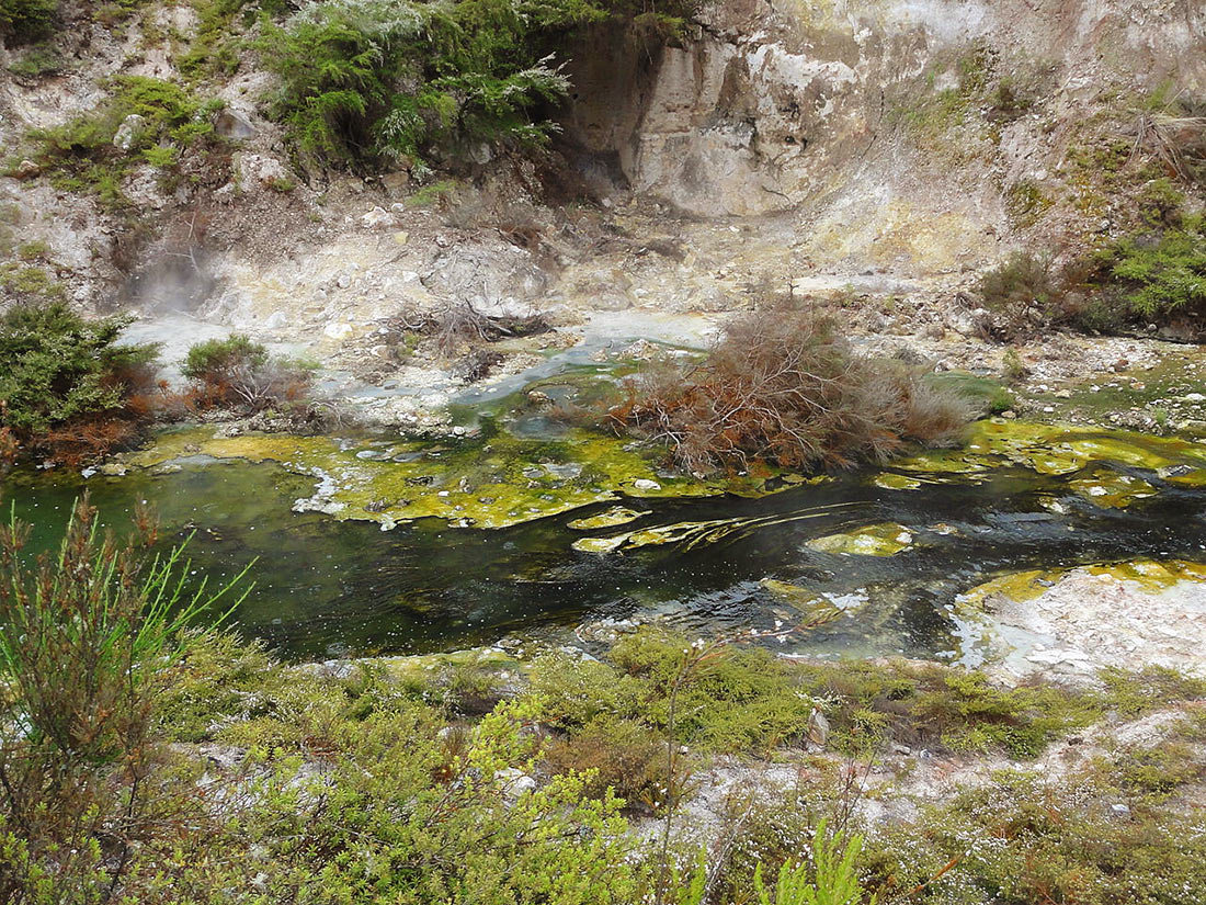 Горячий ручей Ваимангу, который вытекает из озера Сковорода