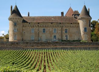 7 идей путешествий для любителей вина