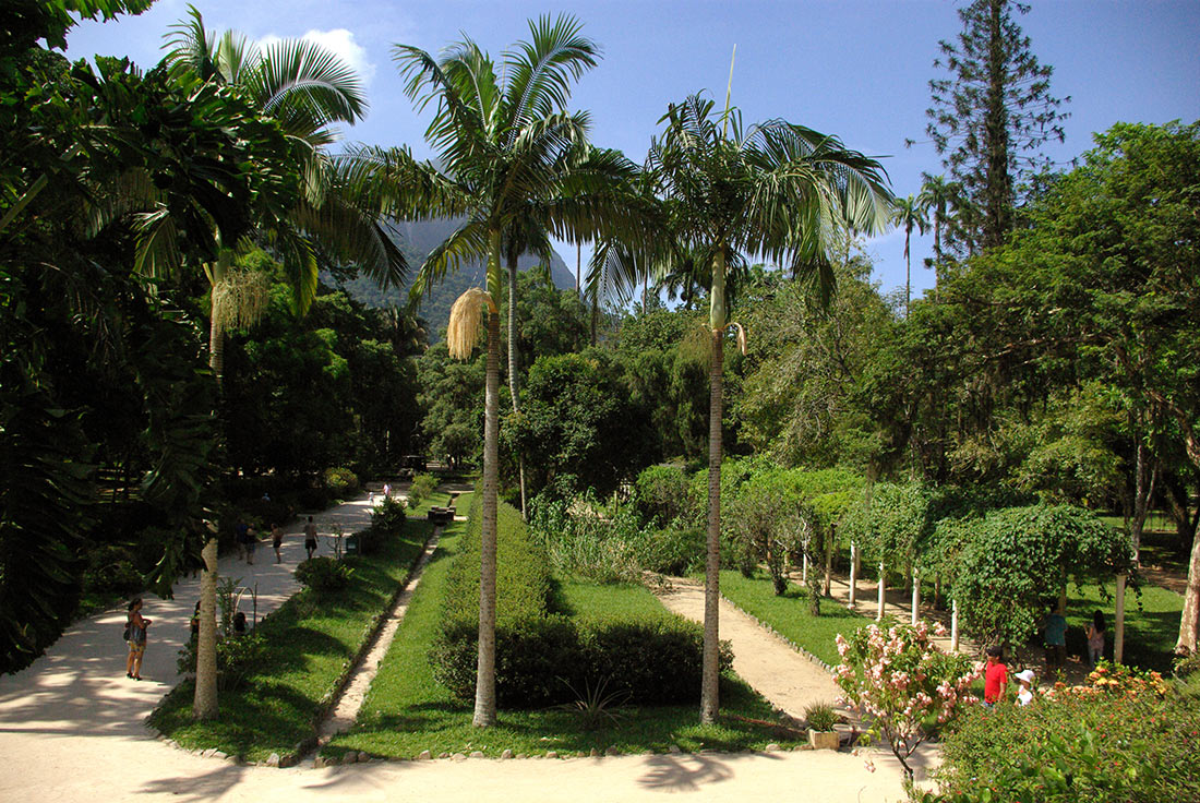 Ботанический сад в Рио-де-Жанейро