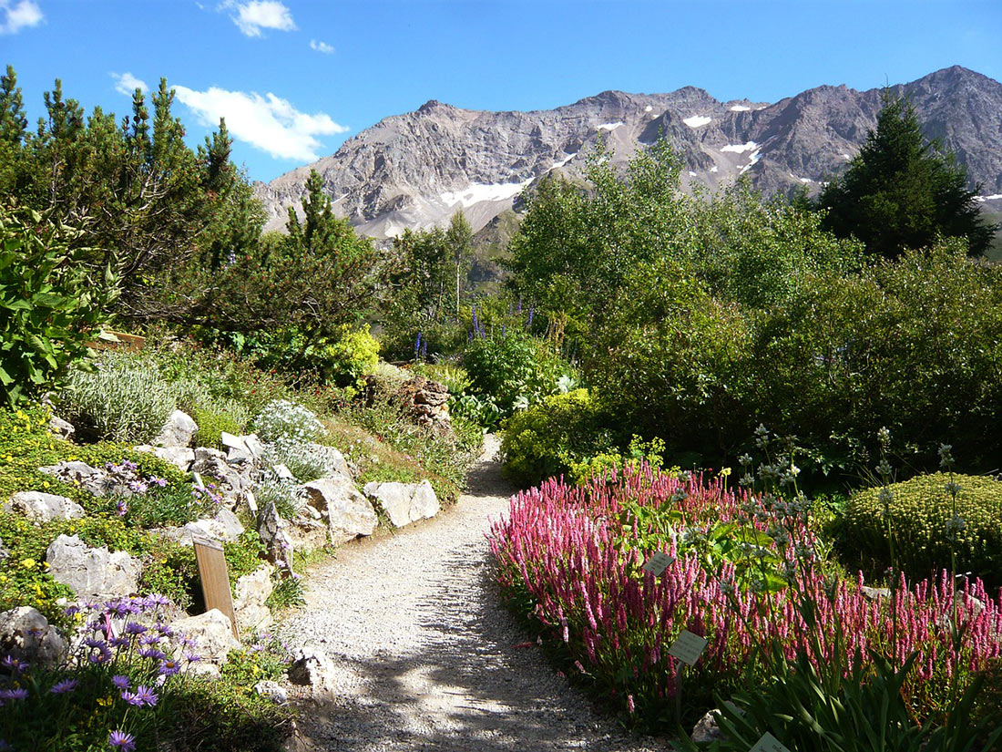 Альпийский ботанический сад в Коль дю Лотаре