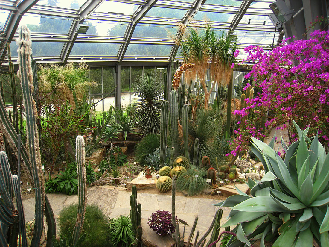 Ботанический сад и ботанический музей Берлин-Далем