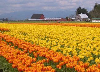 Где отдохнуть весной: ТОП-10 лучших мест для незабываемого весеннего отдыха