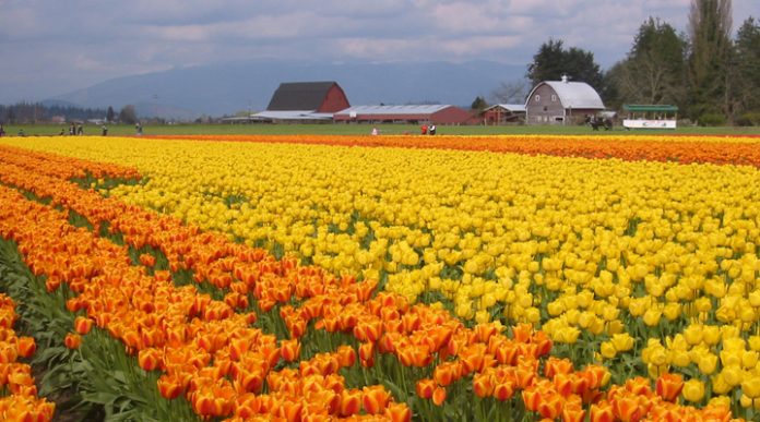 Где отдохнуть весной: ТОП-10 лучших мест для незабываемого весеннего отдыха