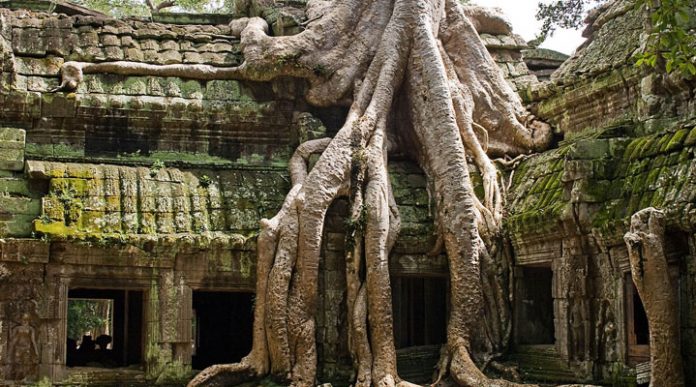Та Пром: заброшенный буддистский храм, который поглотили джунгли