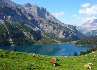 Самые красивые озера Швейцарии: 12 мест с потрясающими видами