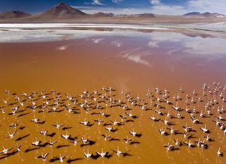 10 потрясающе красивых озер с самым необычным цветом воды