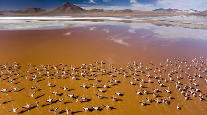 10 потрясающе красивых озер с самым необычным цветом воды