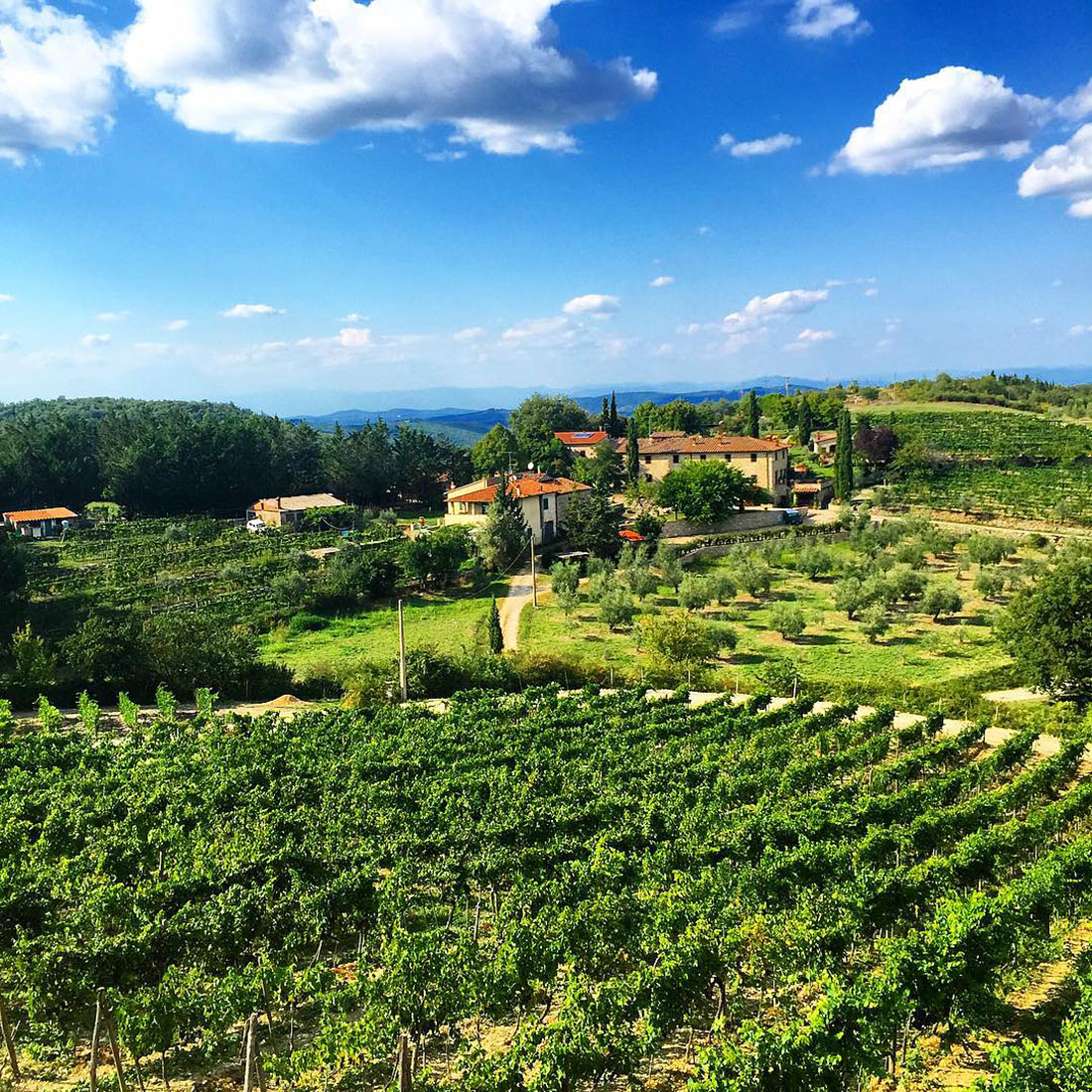 Долина Тоскана виноградники