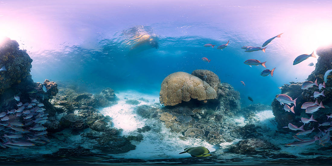 By © Underwater Earth / XL Catlin Seaview Survey / Christophe Bailhache, vi...