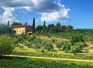 Интересные факты о Тоскане: 10 удивительных вещей, которых вы не знали