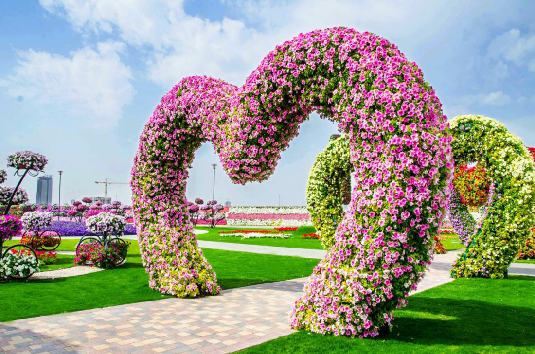 Сад чудес в Дубае