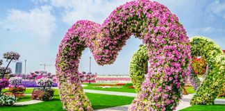 Сад чудес в Дубае: цветочное королевство, которое покорит с первого взгляда!