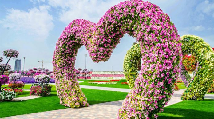 Сад чудес в Дубае: цветочное королевство, которое покорит с первого взгляда!