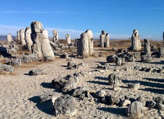 Вбитые камни: доисторический каменный лес в Болгарии