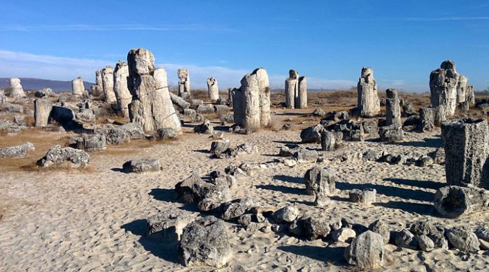 Вбитые камни: доисторический каменный лес в Болгарии