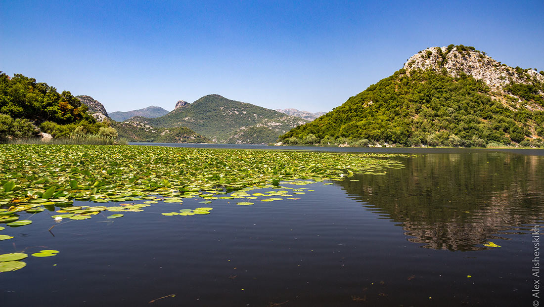 Национальный парк озера Скадар