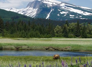 Чем славится Аляска: 10 убедительных причин провести отпуск на краю света
