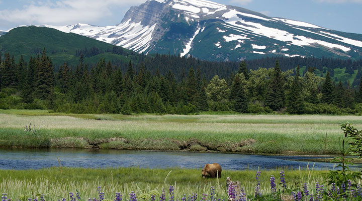 Чем славится Аляска: 10 убедительных причин провести отпуск на краю света