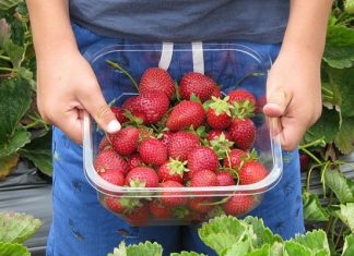 Что нельзя делать в путешествии: 8 вещей, от которых стоит воздержаться в поездке