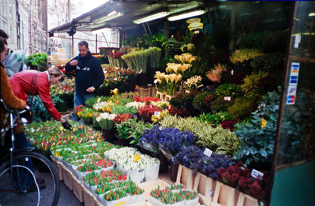 Цветочный рынок в Амстердаме